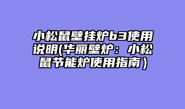 小松鼠壁挂炉b3使用说明(华丽壁炉：小松鼠节能炉使用指南）