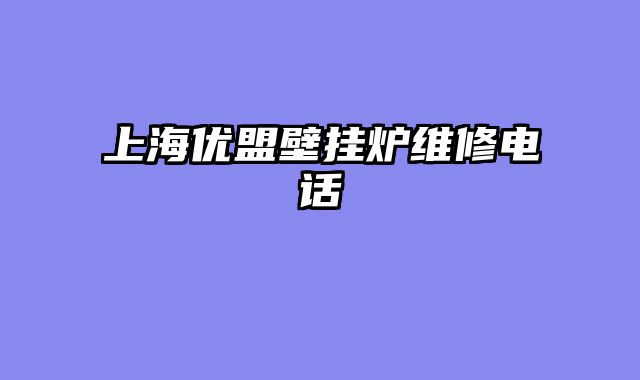 上海优盟壁挂炉维修电话