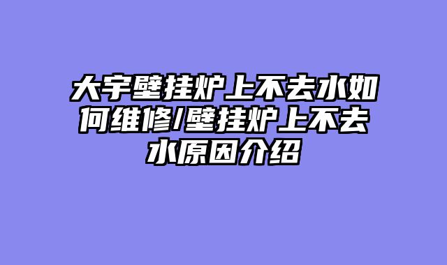 大宇壁挂炉上不去水如何维修/壁挂炉上不去水原因介绍