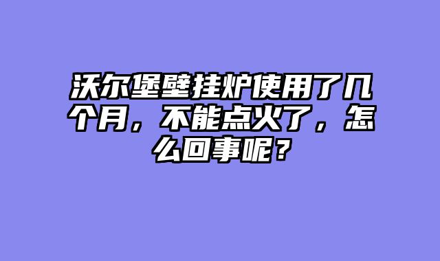 沃尔堡壁挂炉使用了几个月，不能点火了，怎么回事呢？