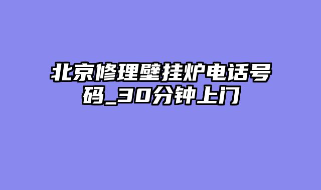 北京修理壁挂炉电话号码_30分钟上门