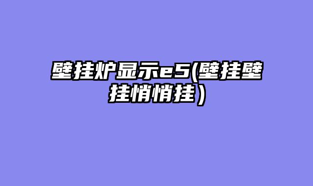 壁挂炉显示e5(壁挂壁挂悄悄挂）