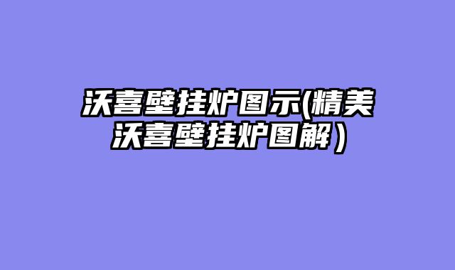 沃喜壁挂炉图示(精美沃喜壁挂炉图解）