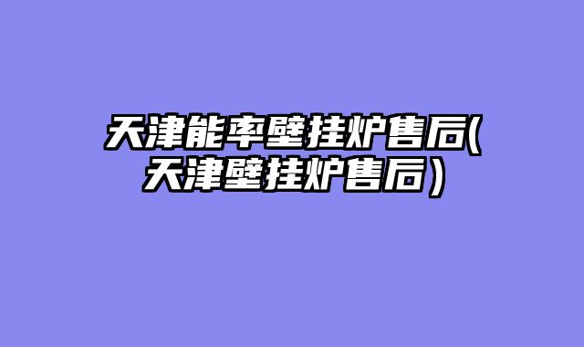 天津能率壁挂炉售后(天津壁挂炉售后）