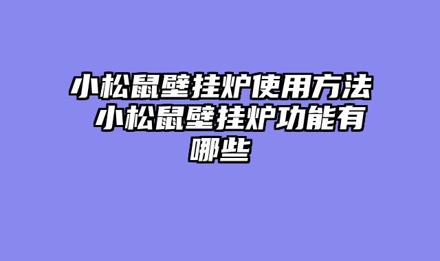 小松鼠壁挂炉使用方法 小松鼠壁挂炉功能有哪些