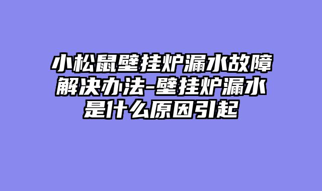 小松鼠壁挂炉漏水故障解决办法-壁挂炉漏水是什么原因引起