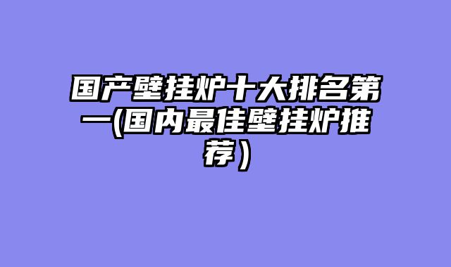 国产壁挂炉十大排名第一(国内最佳壁挂炉推荐）
