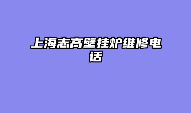 上海志高壁挂炉维修电话