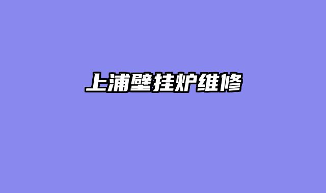 上浦壁挂炉维修