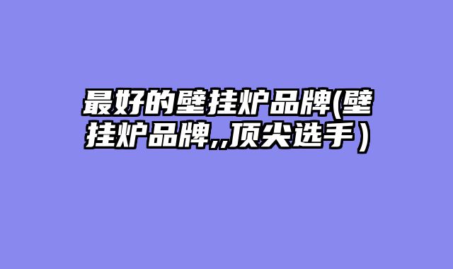 最好的壁挂炉品牌(壁挂炉品牌,,顶尖选手）