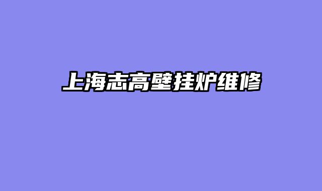 上海志高壁挂炉维修