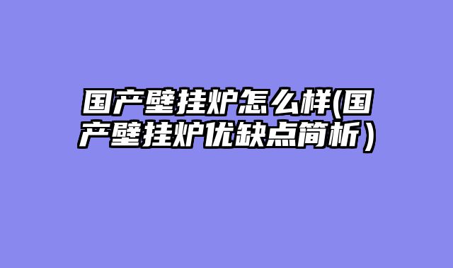 国产壁挂炉怎么样(国产壁挂炉优缺点简析）