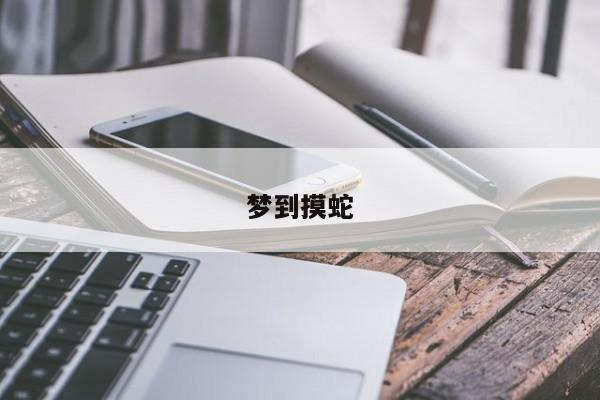 梦到摸蛇