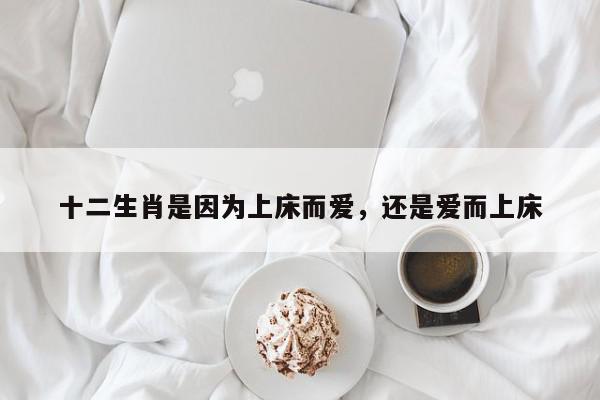 十二生肖是因为上床而爱,还是爱而上床