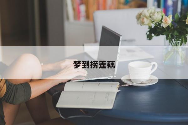 梦到捞莲藕