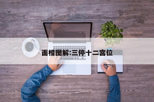 面相图解:三停十二宫位