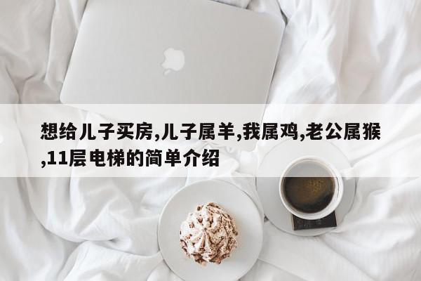 想给儿子买房,儿子属羊,我属鸡,老公属猴,11层电梯的简单介绍