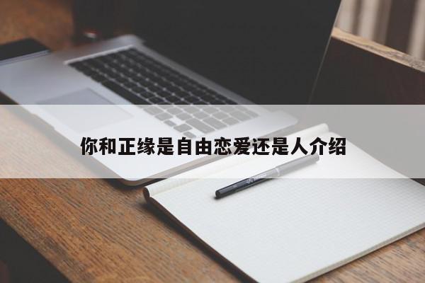 你和正缘是自由恋爱还是人介绍