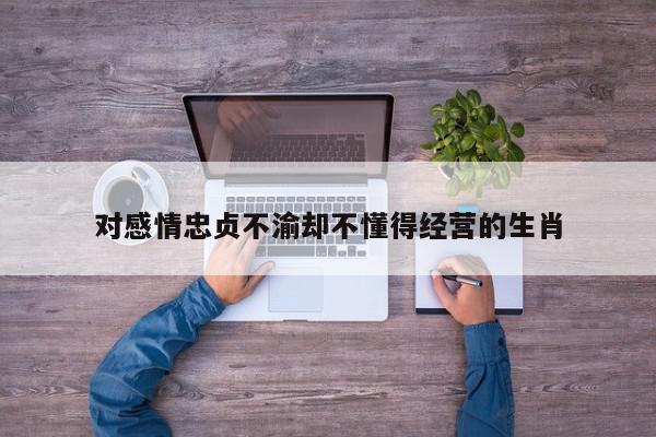 对感情忠贞不渝却不懂得经营的生肖