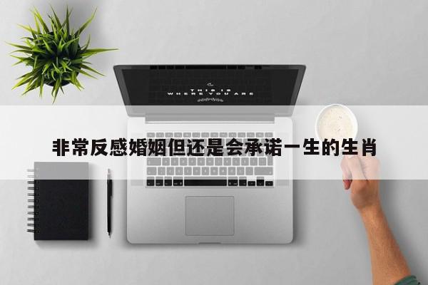 非常反感婚姻但还是会承诺一生的生肖