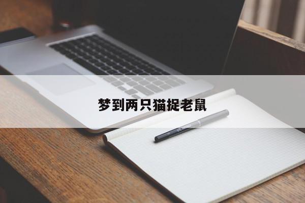 梦到两只猫捉老鼠