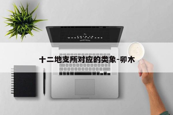 十二地支所对应的类象-卯木