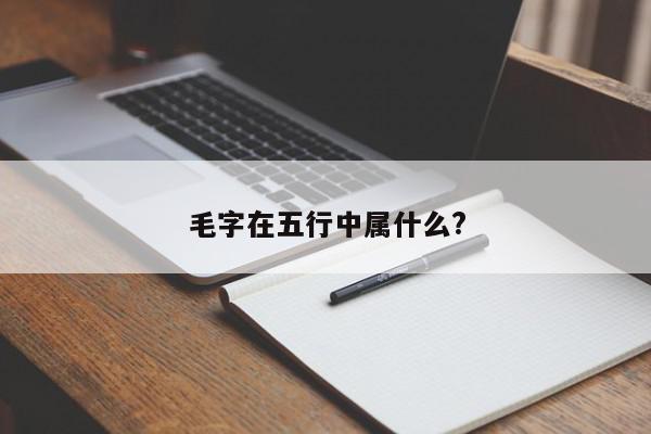 毛字在五行中属什么?