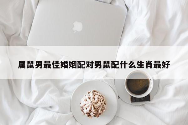 属鼠男最佳婚姻配对男鼠配什么生肖最好