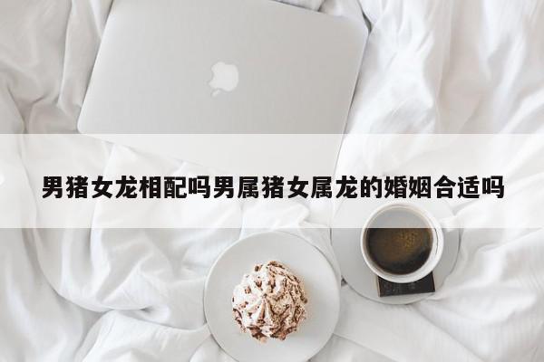男猪女龙相配吗男属猪女属龙的婚姻合适吗