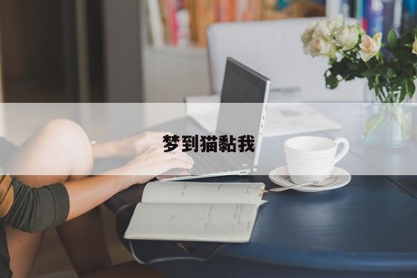 梦到猫黏我