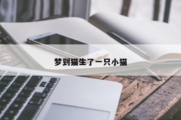 梦到猫生了一只小猫