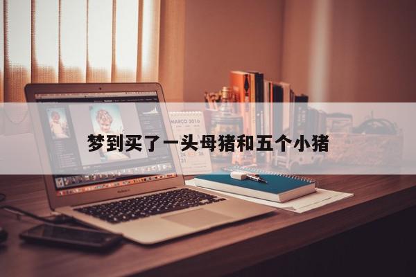 梦到买了一头母猪和五个小猪
