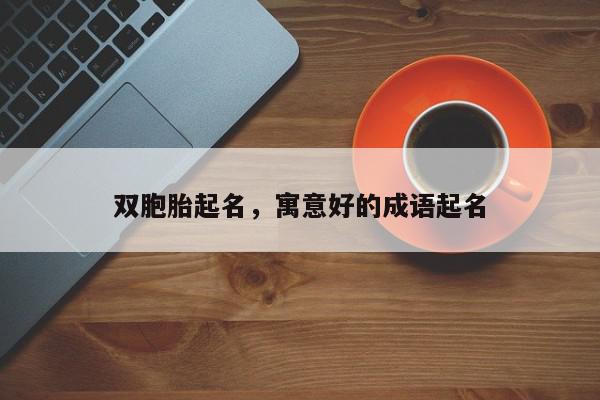 双胞胎起名,寓意好的成语起名