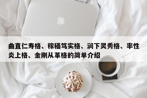 曲直仁寿格、稼穑笃实格、润下灵秀格、率性炎上格、金刚从革格的简单介绍