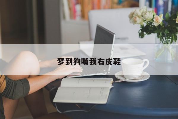 梦到狗啃我右皮鞋