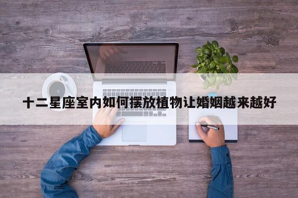 十二星座室内如何摆放植物让婚姻越来越好