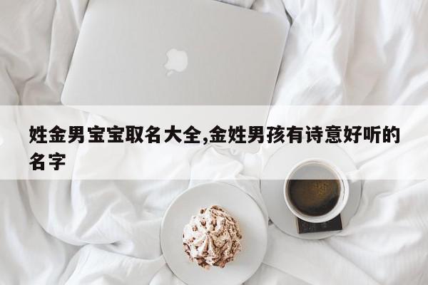 姓金男宝宝取名大全,金姓男孩有诗意好听的名字