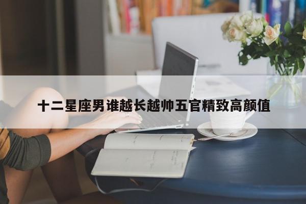 十二星座男谁越长越帅五官精致高颜值