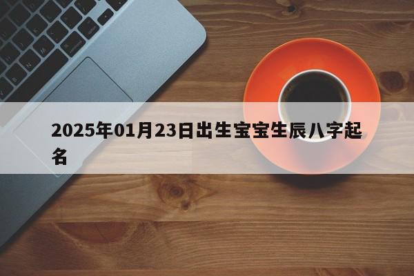 2025年01月23日出生宝宝生辰八字起名