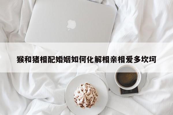 猴和猪相配婚姻如何化解相亲相爱多坎坷
