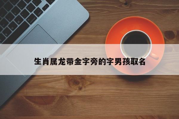生肖属龙带金字旁的字男孩取名