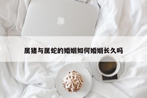 属猪与属蛇的婚姻如何婚姻长久吗