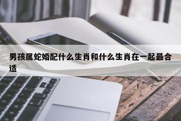 男孩属蛇婚配什么生肖和什么生肖在一起最合适