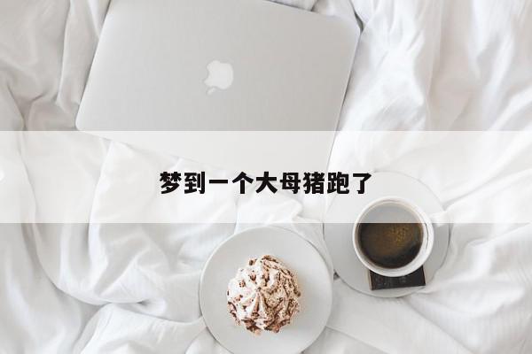 梦到一个大母猪跑了