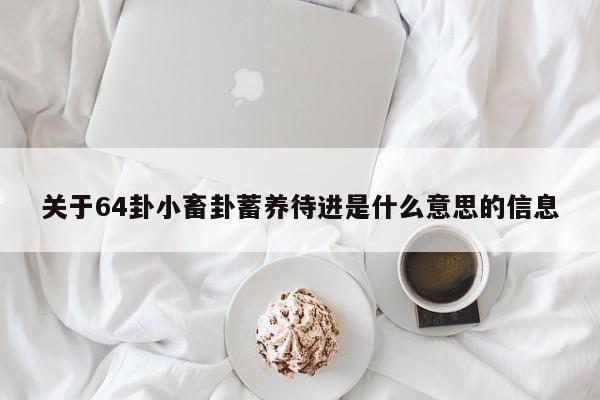 关于64卦小畜卦蓄养待进是什么意思的信息