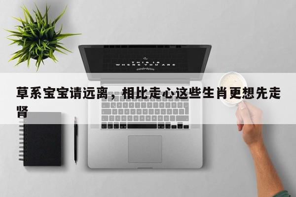 草系宝宝请远离，相比走心这些生肖更想先走肾