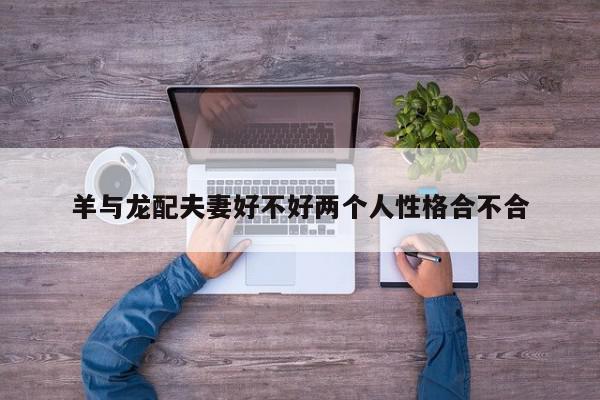 羊与龙配夫妻好不好两个人性格合不合