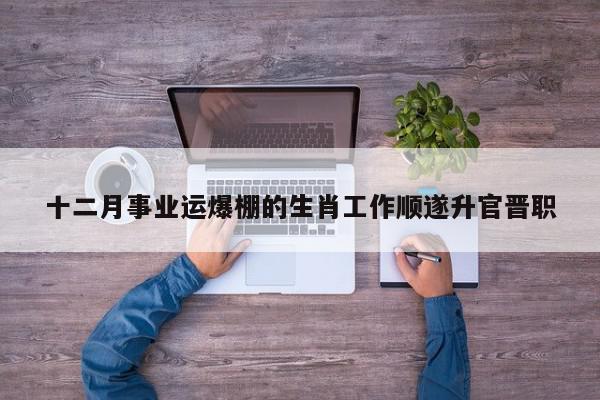 十二月事业运爆棚的生肖工作顺遂升官晋职